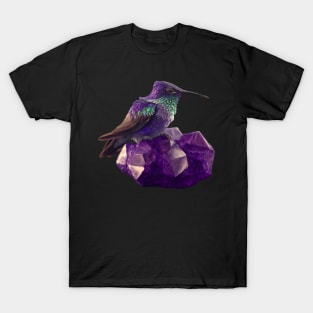 Hummingbird and Amethyst Crystal T-Shirt